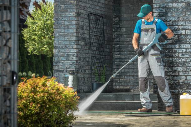 Animal Enclosure Cleaning in Omega, GA